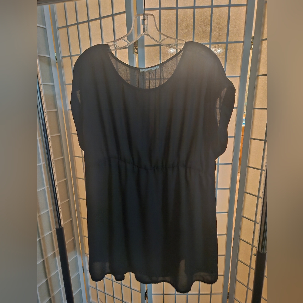 Sheer Black shirt sleeve top